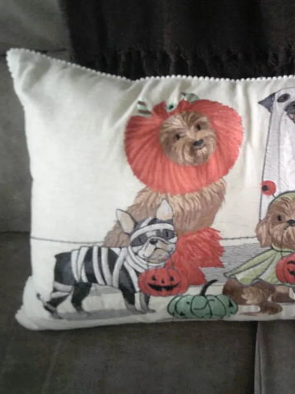 PIER 1 ONE FALL HALLOWEEN PLUSH EMBROIDERED LUMBAR PILLOW DOG PARADE 22